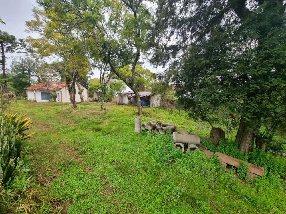 Terreno, 4452 m² - Foto 4