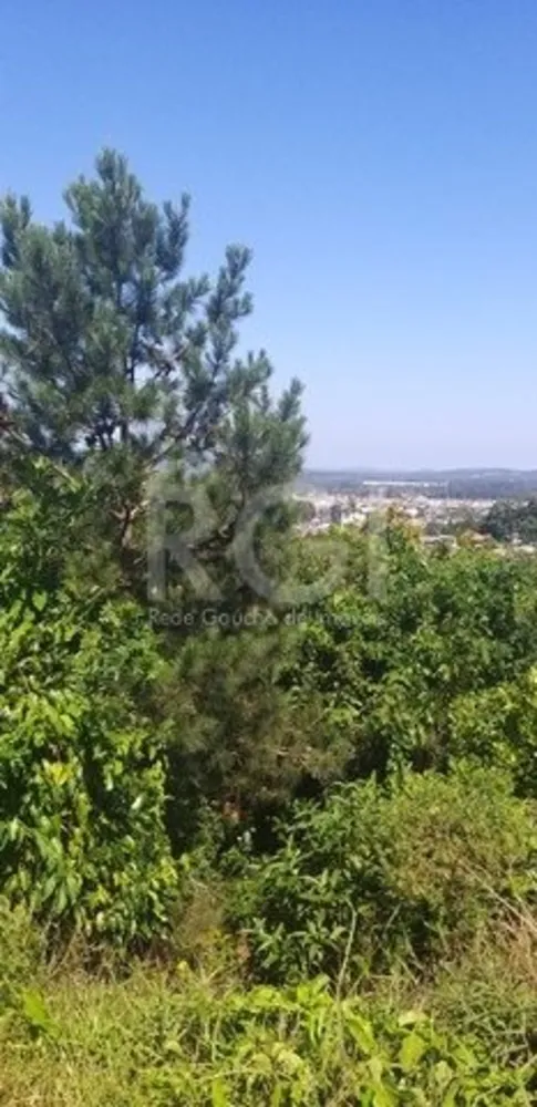 Terreno, 173 m² - Foto 4