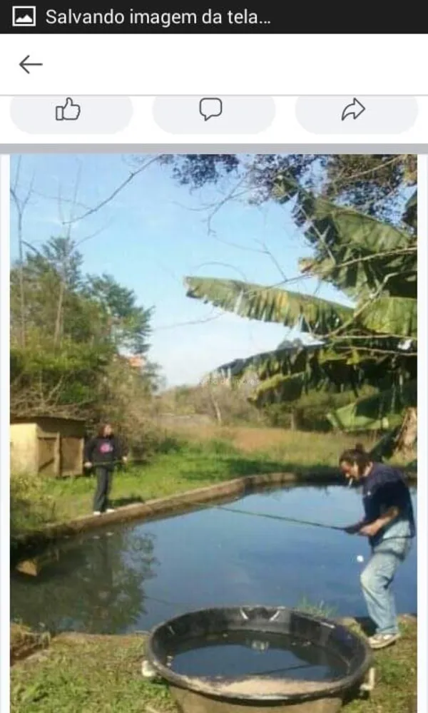 Terreno, 2 hectares - Foto 1