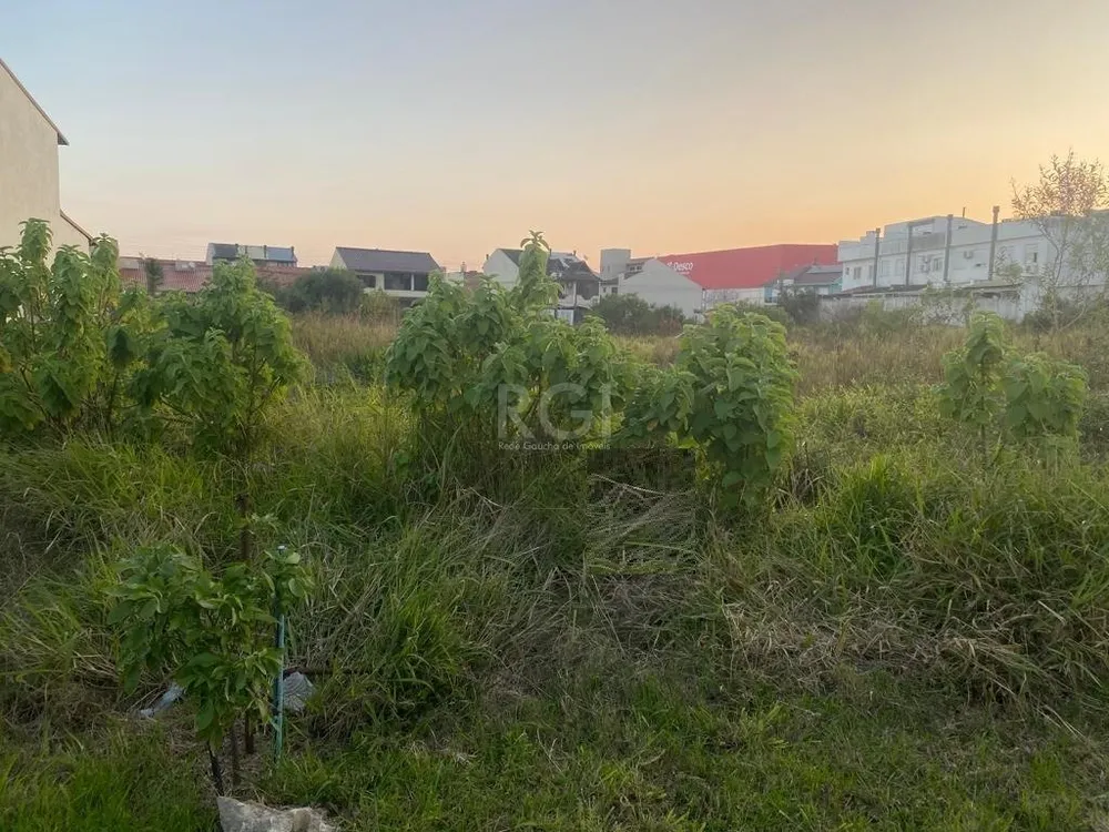Terreno, 311 m² - Foto 1