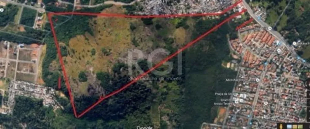 Terreno, 7 hectares - Foto 3