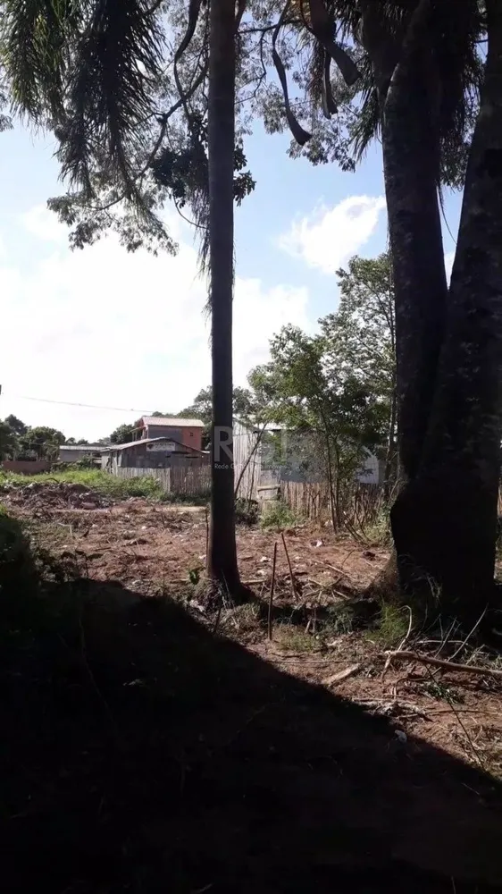 Terreno, 300 m² - Foto 2