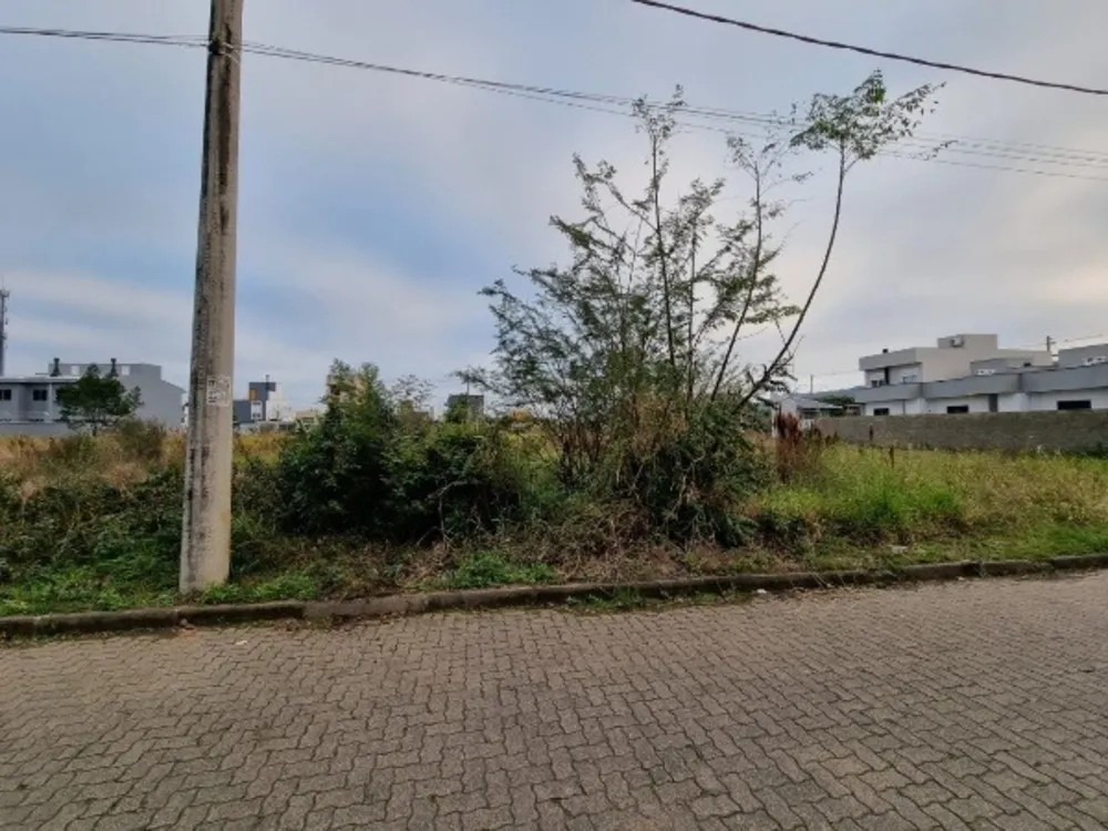 Terreno, 150 m² - Foto 2