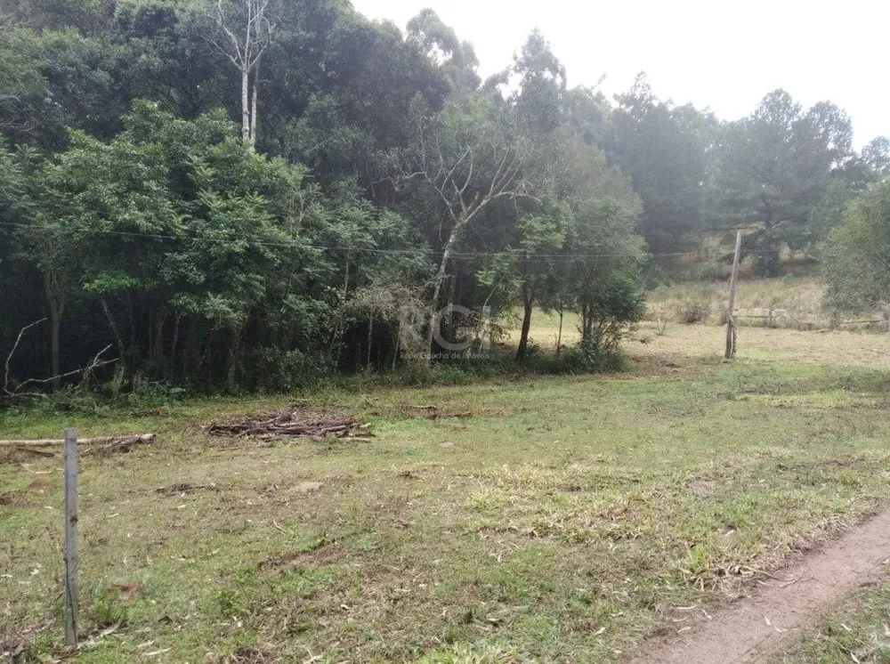 Terreno, 2500 m² - Foto 1