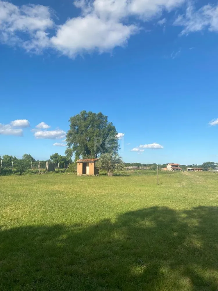 Terreno, 7500 m² - Foto 4