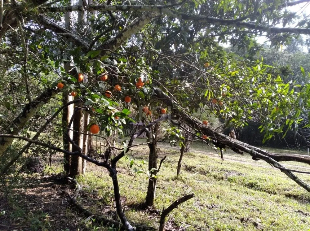 Terreno, 2500 m² - Foto 3