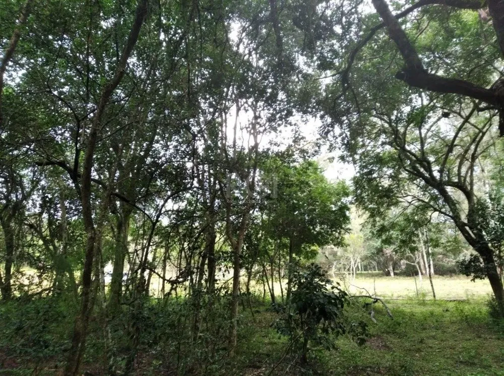 Terreno, 2500 m² - Foto 2