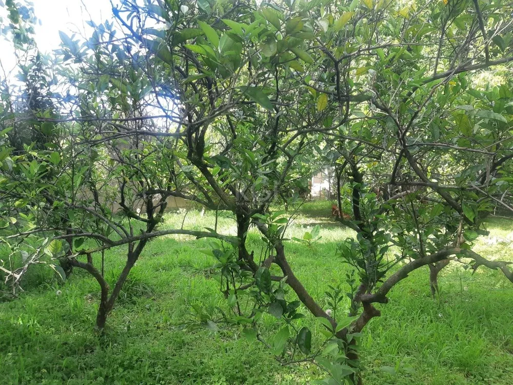 Terreno, 375 m² - Foto 1