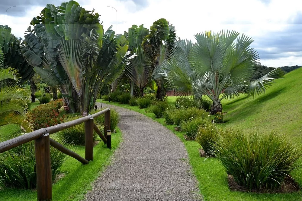 Terreno, 680 m² - Foto 6