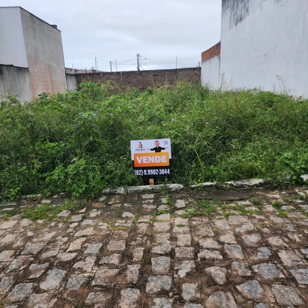 Terreno - Foto 1