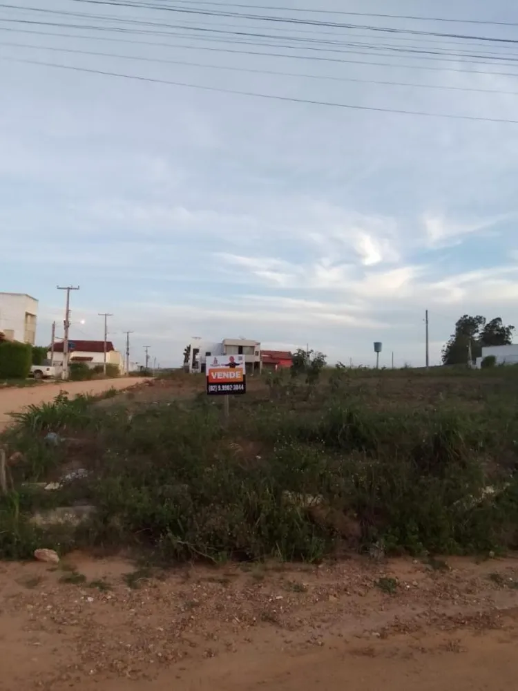 Terreno - Foto 10