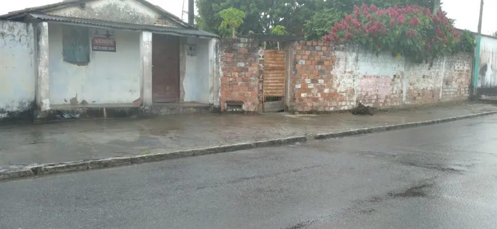 Terreno - Foto 2