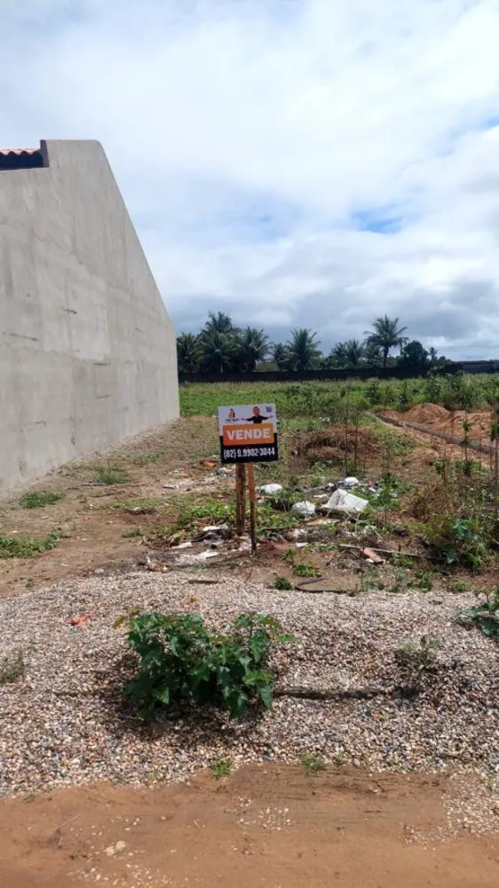 Terreno - Foto 2