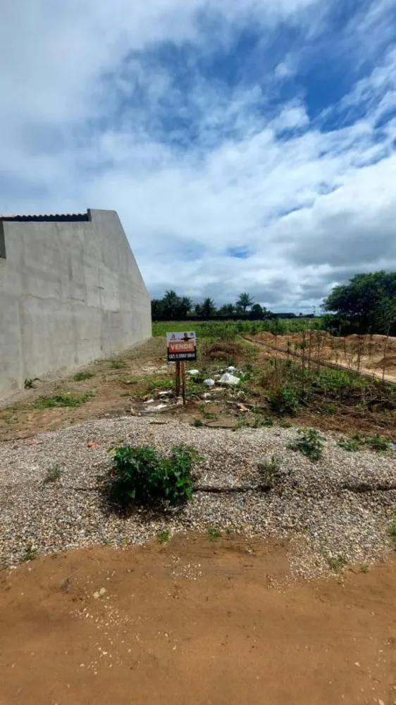 Terreno - Foto 4