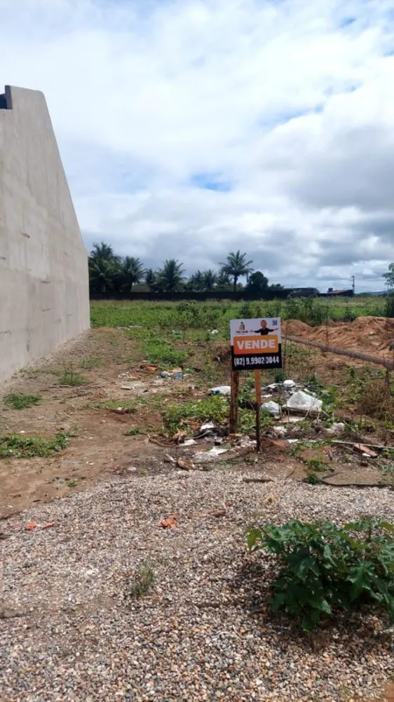 Terreno - Foto 1