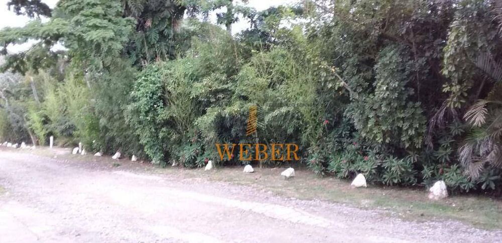 Chácara à venda com 4 quartos, 417m² - Foto 5