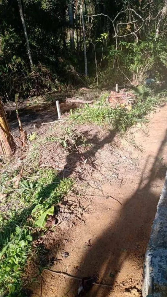 Chácara, 4 quartos, 3600 m² - Foto 15