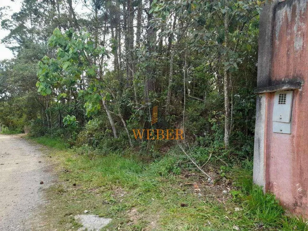 Terreno, 1550 m² - Foto 5