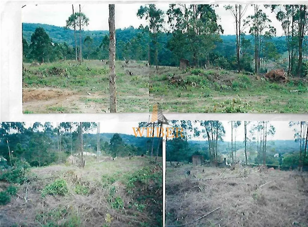 Terreno, 1550 m² - Foto 3