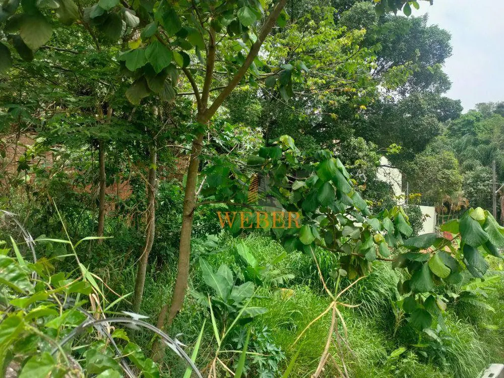 Terreno, 138 m² - Foto 3