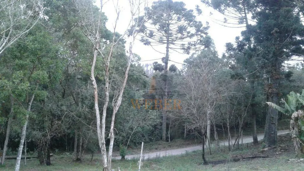 Terreno, 2350 m² - Foto 2