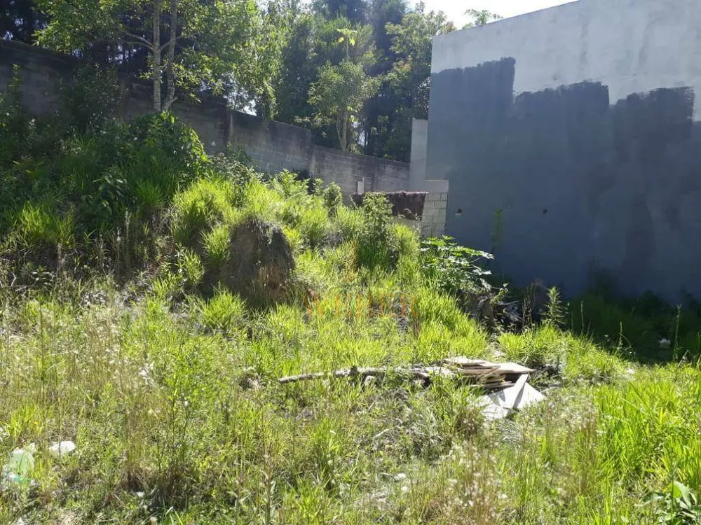 Terreno, 250 m² - Foto 7