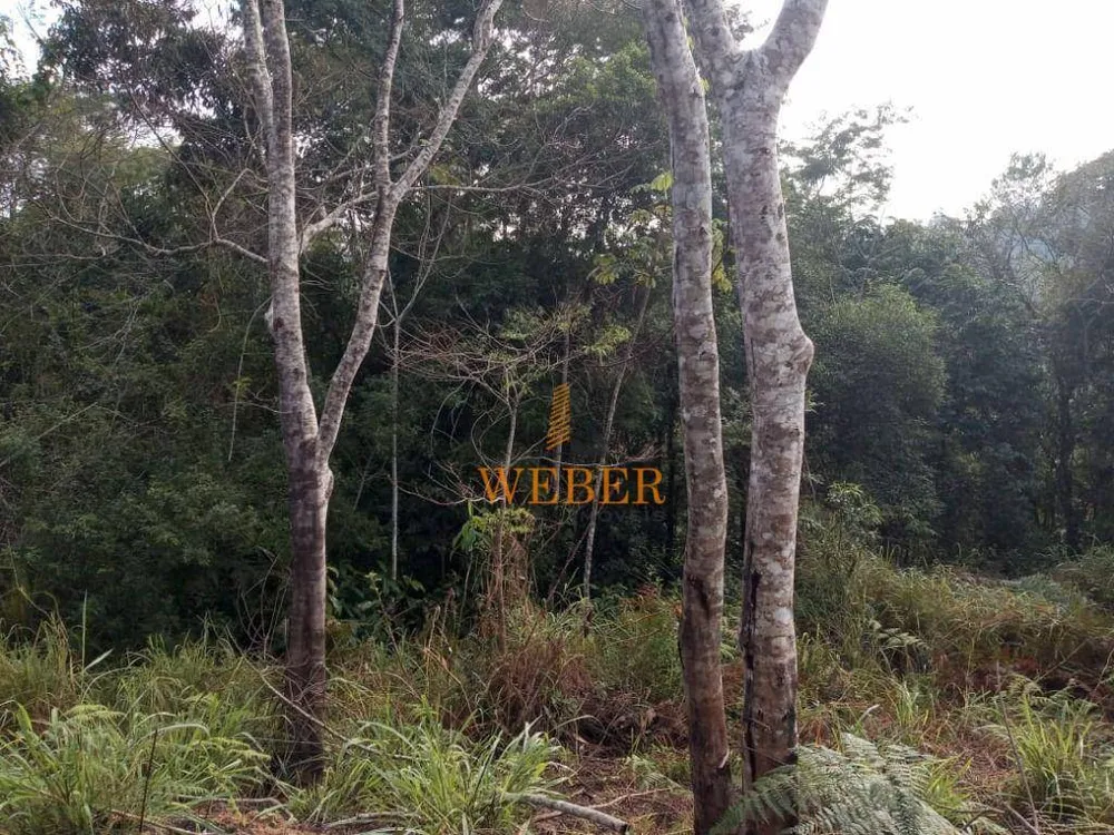 Terreno, 7212 m² - Foto 7