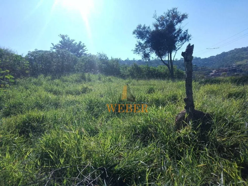 Terreno, 452 m² - Foto 9