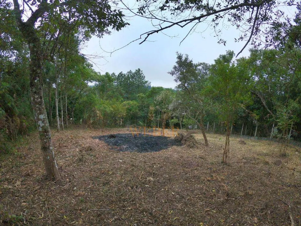 Terreno, 1286 m² - Foto 3