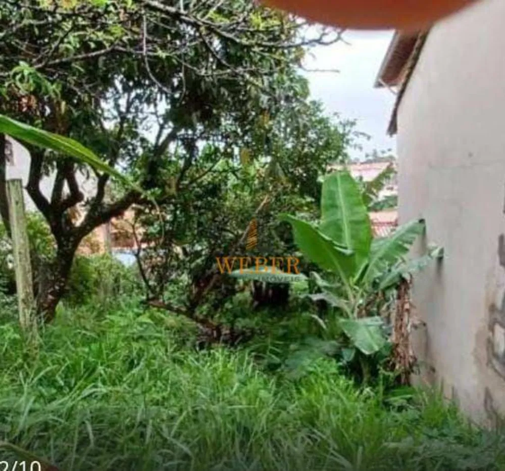 Terreno, 250 m² - Foto 6