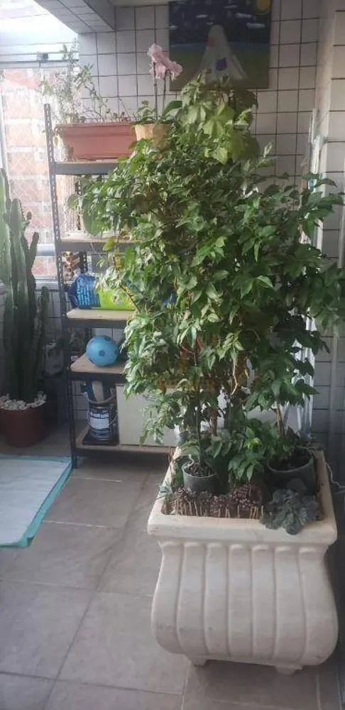 Apartamento, 3 quartos, 117 m² - Foto 7