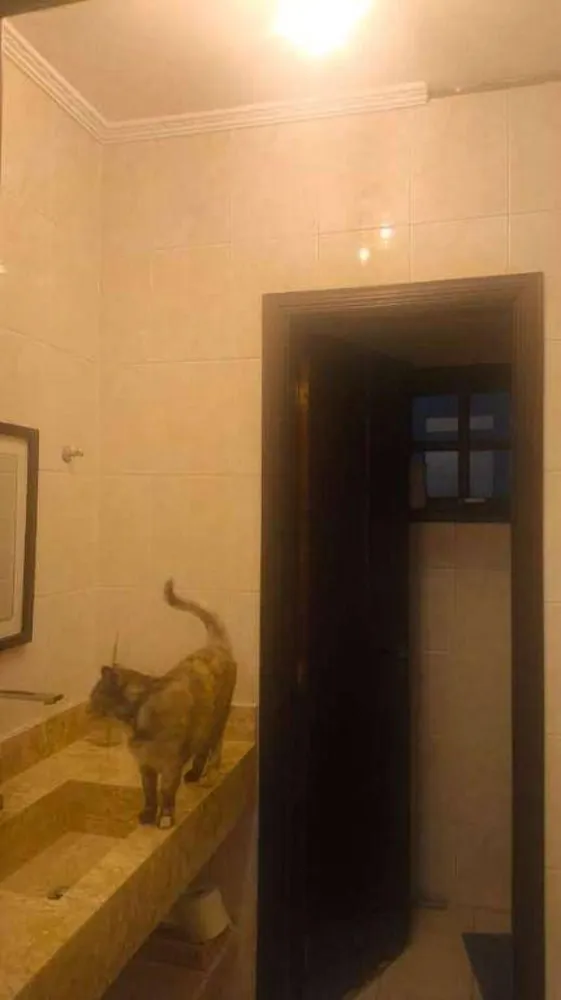 Sobrado, 5 quartos, 320 m² - Foto 2