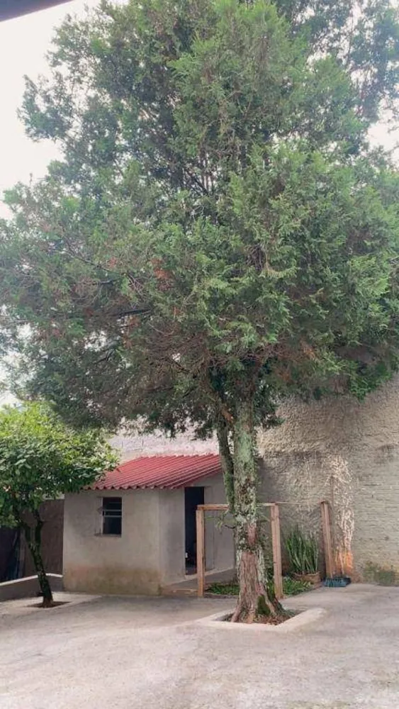 Casa, 3 quartos, 110 m² - Foto 6