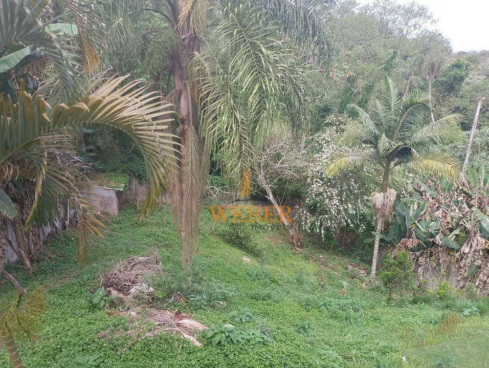 Casa, 3 quartos, 400 m² - Foto 5