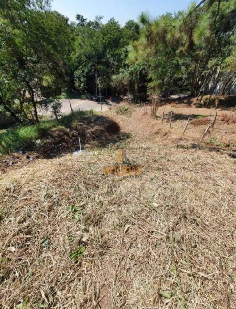 Loteamento e Condomínio à venda, 1240M2 - Foto 3