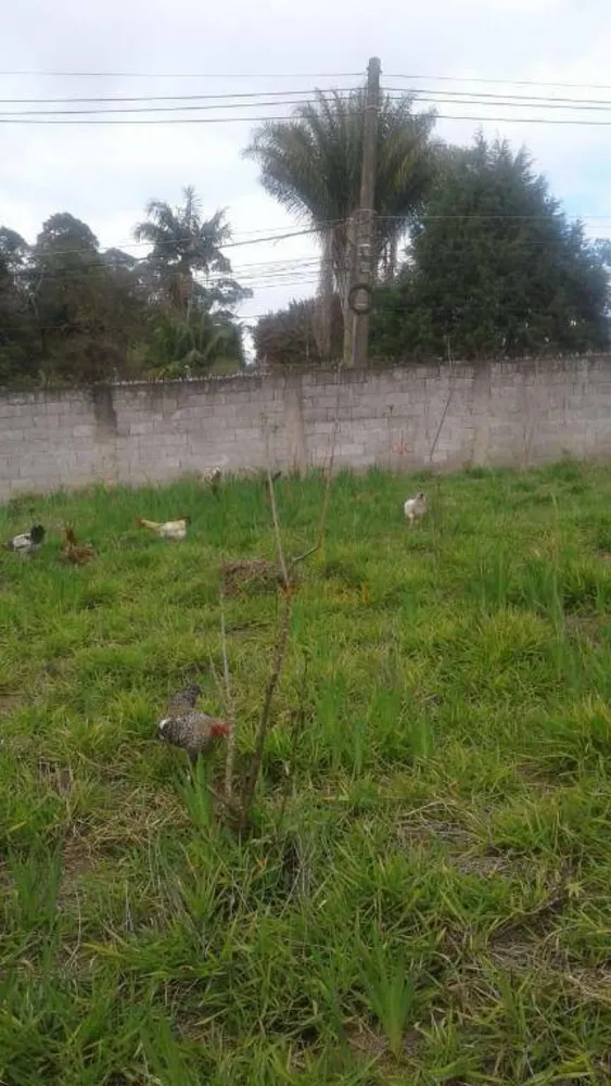 Terreno, 7900 m² - Foto 4