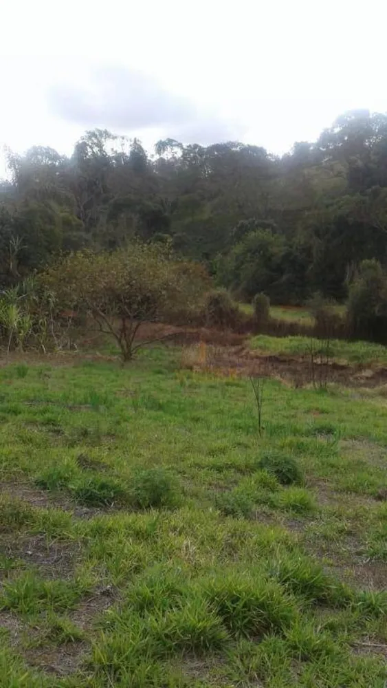 Terreno, 7900 m² - Foto 3