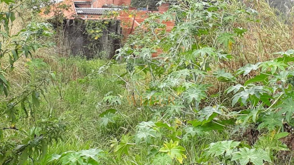 Terreno, 800 m² - Foto 6