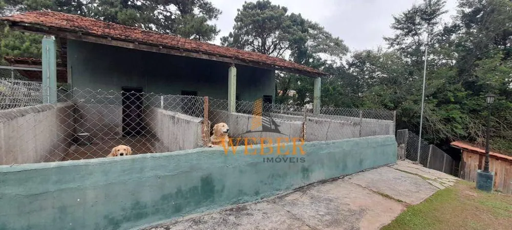 Chácara, 2 quartos, 8977 m² - Foto 2