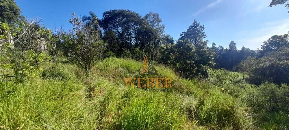 Terreno, 2 hectares - Foto 16