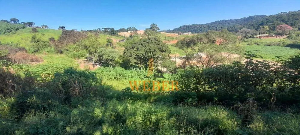 Terreno, 2 hectares - Foto 2