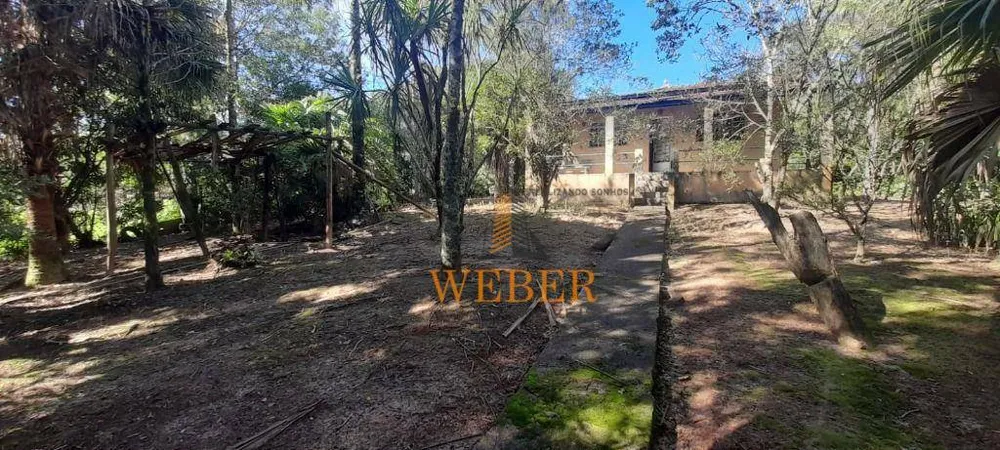 Terreno, 2 hectares - Foto 11