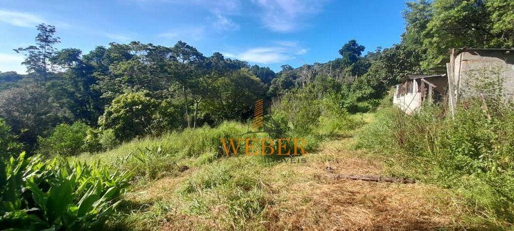 Terreno, 2 hectares - Foto 4