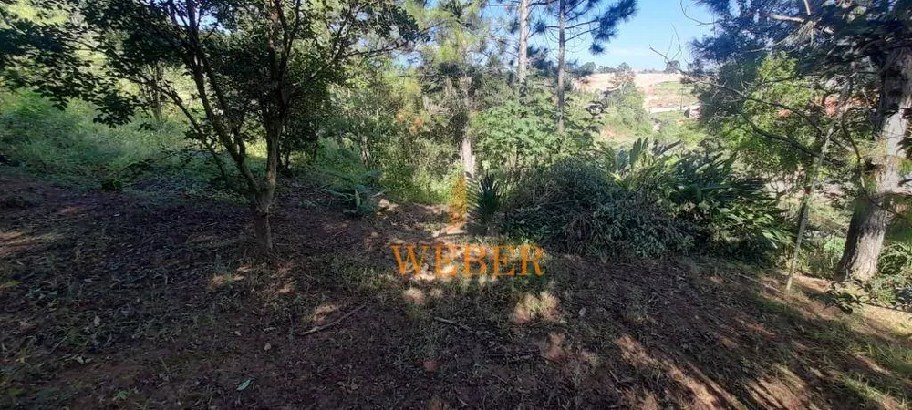 Terreno, 2 hectares - Foto 6