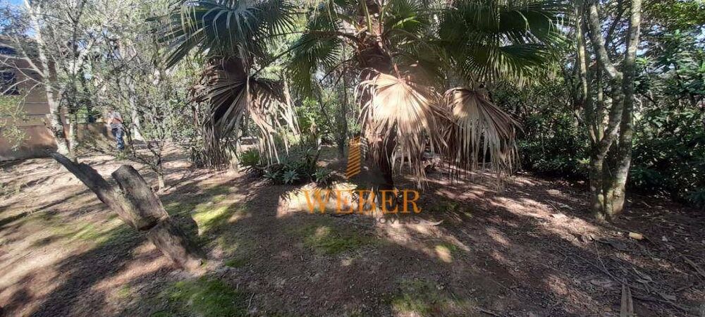 Terreno, 2 hectares - Foto 3