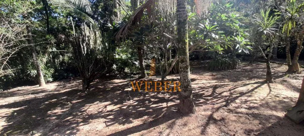 Terreno, 2 hectares - Foto 10