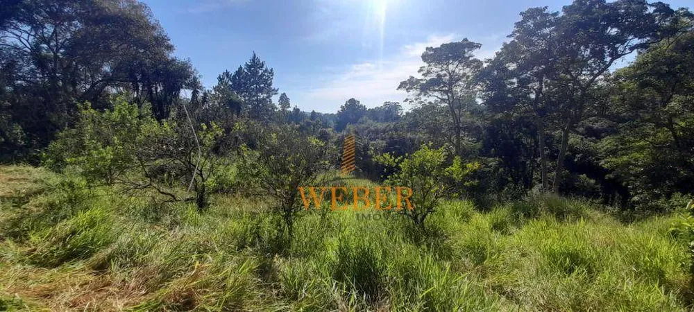 Terreno, 2 hectares - Foto 15