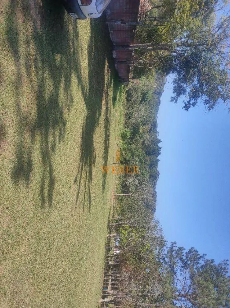 Sítio, 6 quartos, 10 hectares - Foto 12