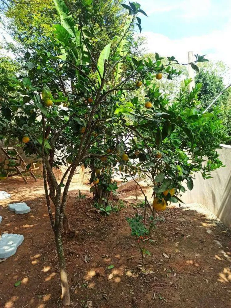 Casa, 4 quartos, 240 m² - Foto 10