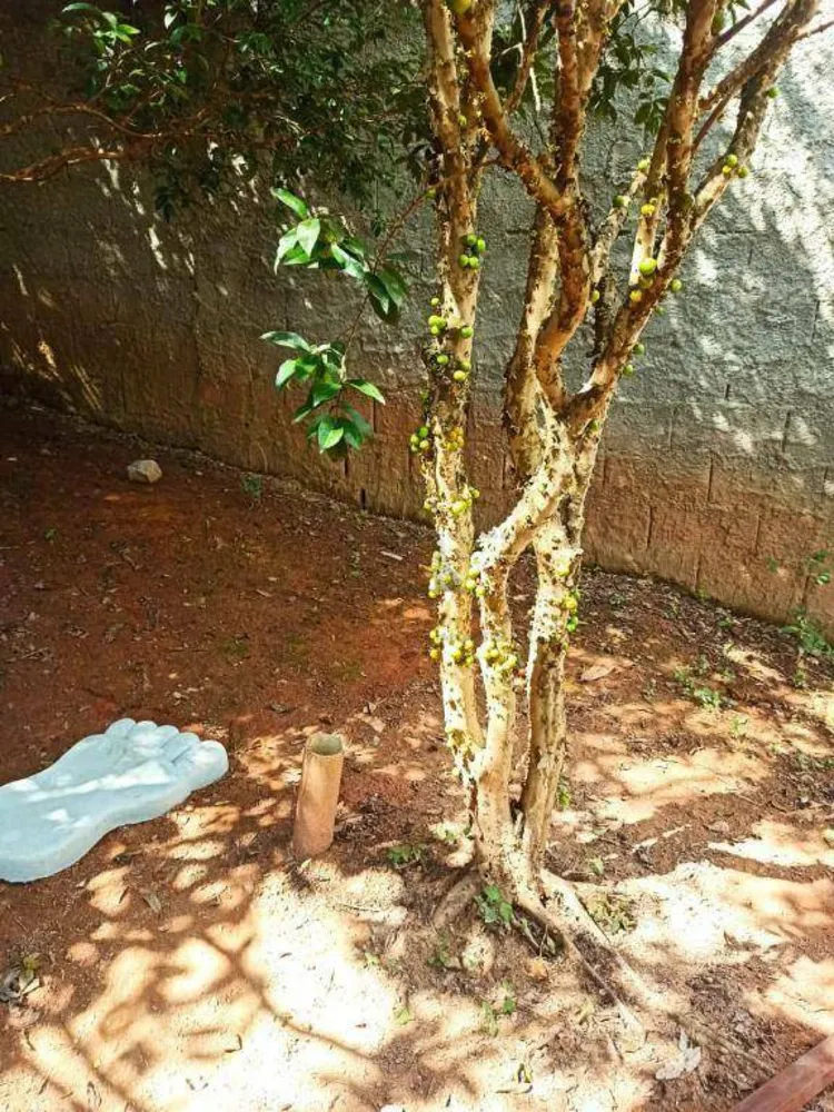 Casa, 4 quartos, 240 m² - Foto 15